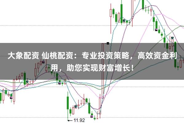 大象配资 仙桃配资：专业投资策略，高效资金利用，助您实现财富增长！