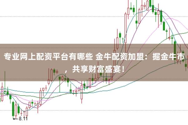专业网上配资平台有哪些 金牛配资加盟：掘金牛市，共享财富盛宴！