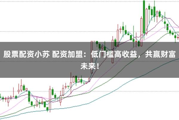 股票配资小苏 配资加盟：低门槛高收益，共赢财富未来！