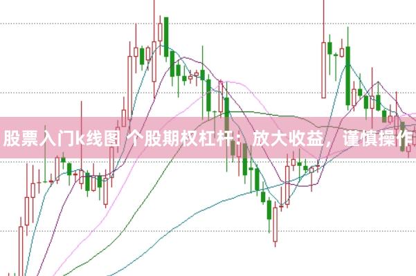股票入门k线图 个股期权杠杆：放大收益，谨慎操作