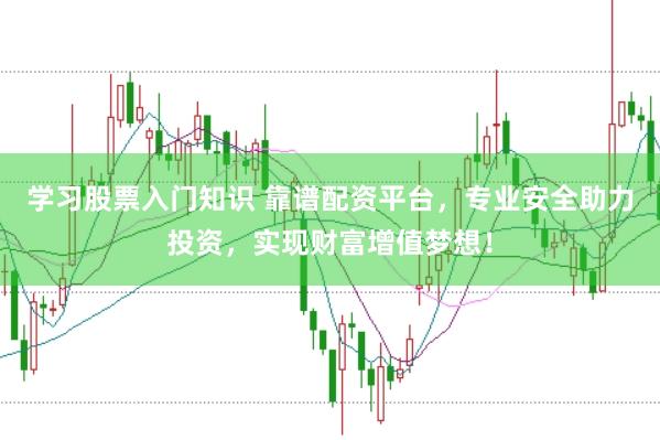 学习股票入门知识 靠谱配资平台，专业安全助力投资，实现财富增值梦想！
