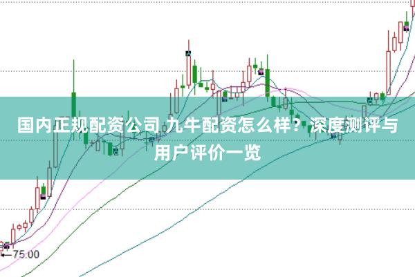 国内正规配资公司 九牛配资怎么样？深度测评与用户评价一览