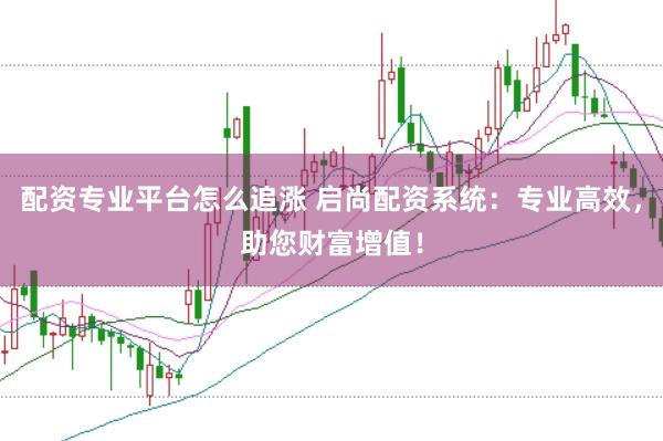 配资专业平台怎么追涨 启尚配资系统：专业高效，助您财富增值！