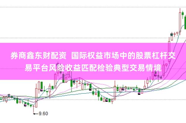 券商鑫东财配资  国际权益市场中的股票杠杆交易平台风险收益匹配检验典型交易情境