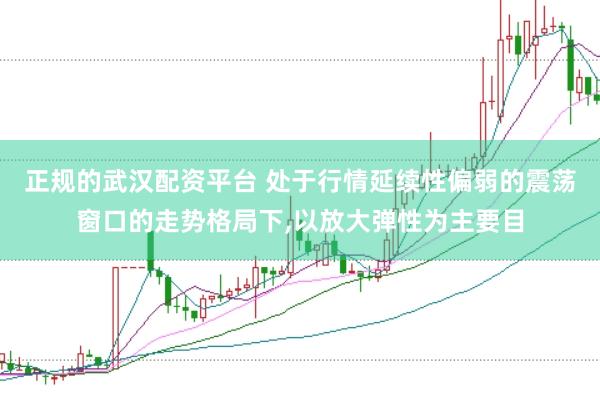 正规的武汉配资平台 处于行情延续性偏弱的震荡窗口的走势格局下,以放大弹性为主要目