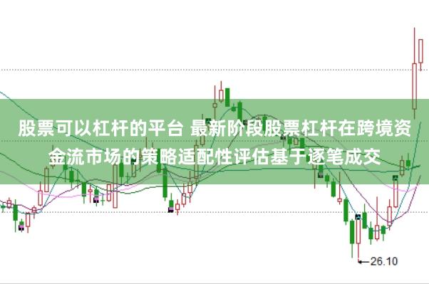 股票可以杠杆的平台 最新阶段股票杠杆在跨境资金流市场的策略适配性评估基于逐笔成交