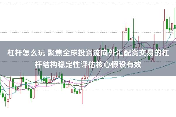 杠杆怎么玩 聚焦全球投资流向外汇配资交易的杠杆结构稳定性评估核心假设有效