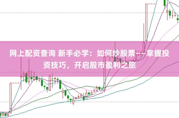 网上配资查询 新手必学：如何炒股票——掌握投资技巧，开启股市盈利之旅
