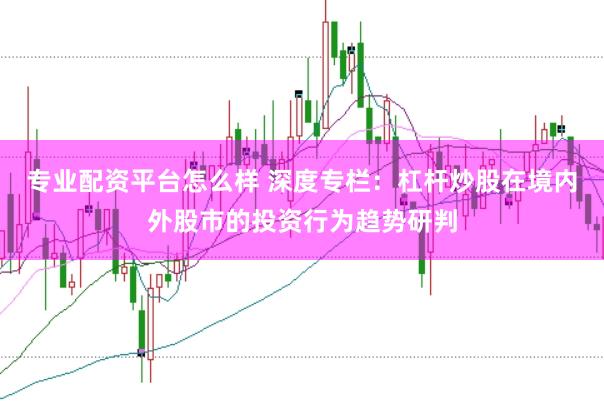 专业配资平台怎么样 深度专栏：杠杆炒股在境内外股市的投资行为趋势研判