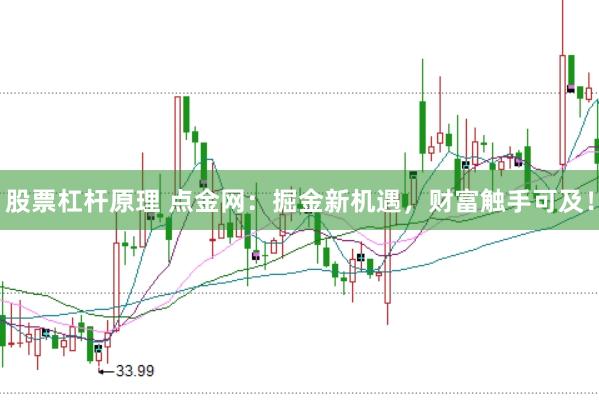 股票杠杆原理 点金网：掘金新机遇，财富触手可及！