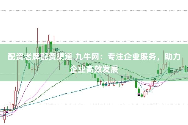 配资老牌配资渠道 九牛网：专注企业服务，助力企业高效发展