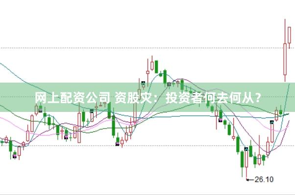 网上配资公司 资股灾：投资者何去何从？