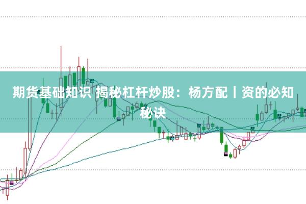 期货基础知识 揭秘杠杆炒股：杨方配丨资的必知秘诀