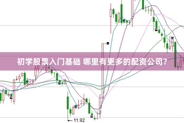 初学股票入门基础 哪里有更多的配资公司？